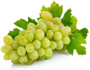 Natural Organic Green Grapes For Human Consumption