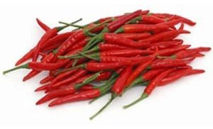 Fresh Thai Red Chilli For Cooking