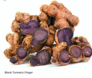 Organic Black Turmeric