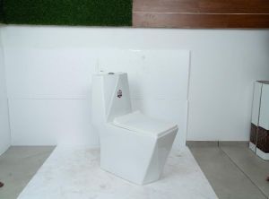 White Diamond One Piece Water Closet