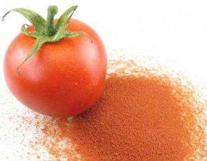 Natural Tomato Powder For Cooking, Souce