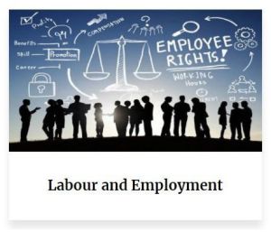 Employment And Labour Law Service