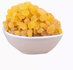 Golden Raisins