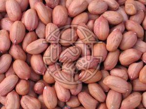 Groundnut Seeds For Human Consumption