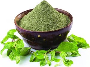 Mint Leaf Powder For Medicines Products, Cosmetics