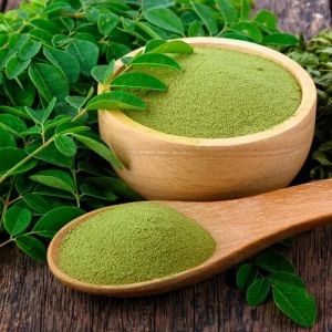 Organic Moringa Powder For Medicinal Use