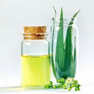 Eucalyptus Oil For Perfumery, Cosmetics