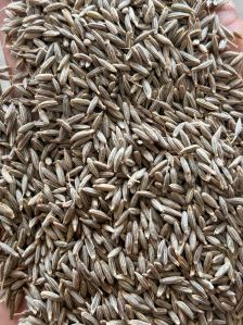 Pure Cumin Seeds