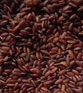 Saja Gold Organic Red Rice For Cooking