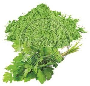 Coriander Leaf Powder