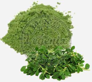 Methi Leaf Powder