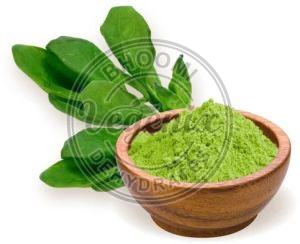 Spinach Leaf Powder