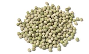 Organic Dried Green Pea Beans, Packaging Size : 5-10kg