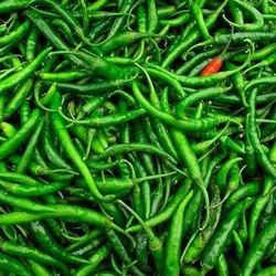 Fresh Green Chili