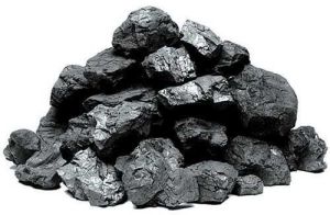 Steam Coal For Steaming