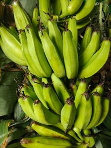 Raw Green Bananas, Packaging Size : 10-60kg