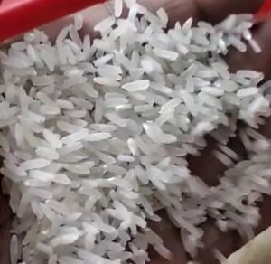 White Rice