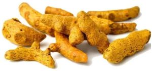 Single Polished Turmeric Finger For Spices, Food Medicine