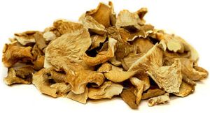 Dry Oyster Mushroom, Quality Available : A Grade