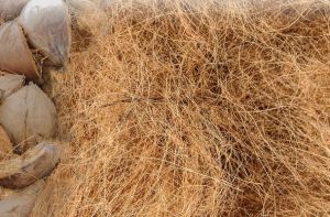coconut fiber