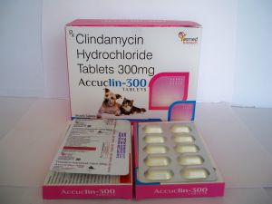 Clindamycin Hydrochloride 300mg Tablets