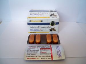 Meloxicam and Paracetamol Vet Bolus