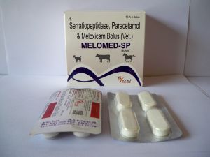 Meloxicam Paracetamol and Serratiopeptidase Bolus