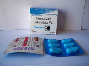 Pantoprazole Sodium Bolus