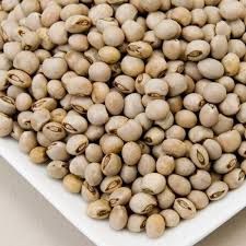 Pigeon Pea Seeds