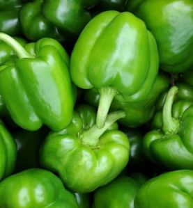 Fresh Green Capsicum, Packaging Type : Plastic Bag