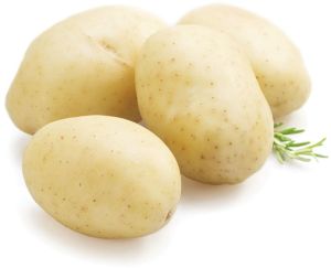 Natural Fresh White Potato, Packaging Type : Plastic Bag