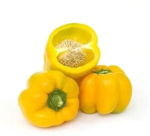 Fresh Yellow Capsicum, Packaging Type : Plastic Bag