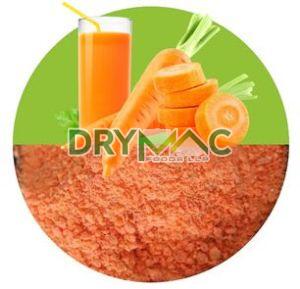 Carrot Powder, Grade : Food Grade