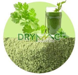 Coriander Powder For Cooking