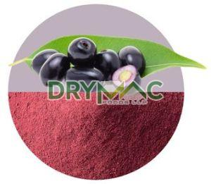 Jamun Powder