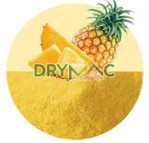 Pineapple Powder, Packaging Size : 25 Kg