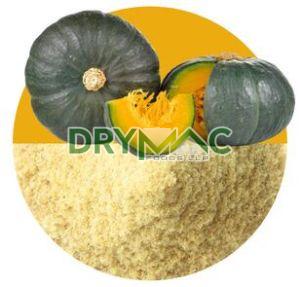 Pumpkin Powder For Food Industry