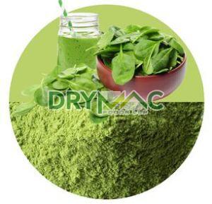 Spinach Powder For Food Industry