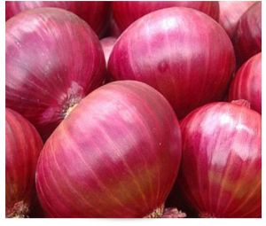 Fresh Pink Onion For Cooking