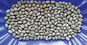 Unroasted Coffee Beans For Beverages