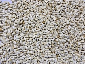 SAFFLOWER SEEDS (CARTHAMUS TINCTORIUS)