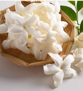 Jasmine Grandiflorum Absolute