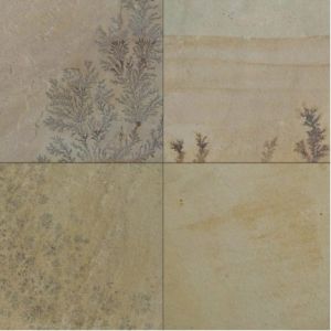 Fossil Mint Sandstone, Color : Yellow