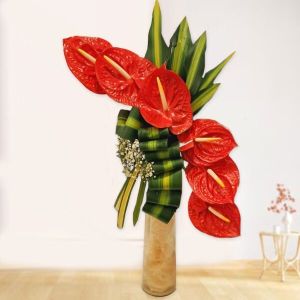 Classic Red Anthurium Arrangement