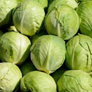 Organic Fresh Cabbage, Color : Green