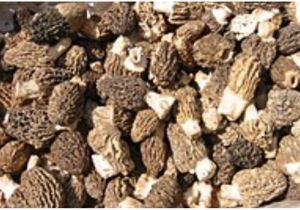 Dried Gucchi Mushroom