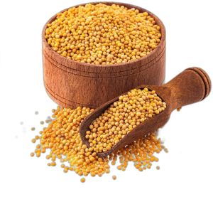 Yellow Mustard Seeds