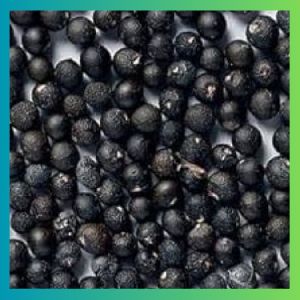 Black Shatavari Seed