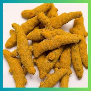 Haldi, Color : Dark Yellow, Grade Standard : Food Grade For Cosmetics, Spices, Cooking