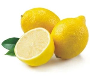 Seedless Lemon